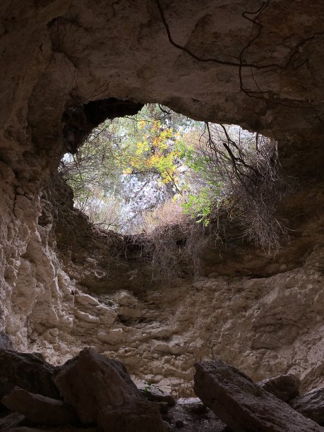森林中的洞穴图片下载