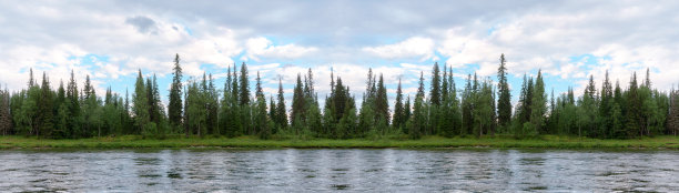 海岸线的全景，长满了野生森林。河上的景色。俄罗斯极地乌拉尔山脉之旅。图片下载