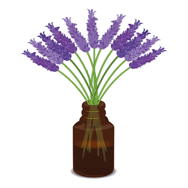 瓶子与香油和薰衣草花孤立在白色背景。向量图片下载