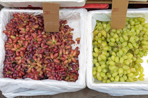 两个葡萄的水果图片下载