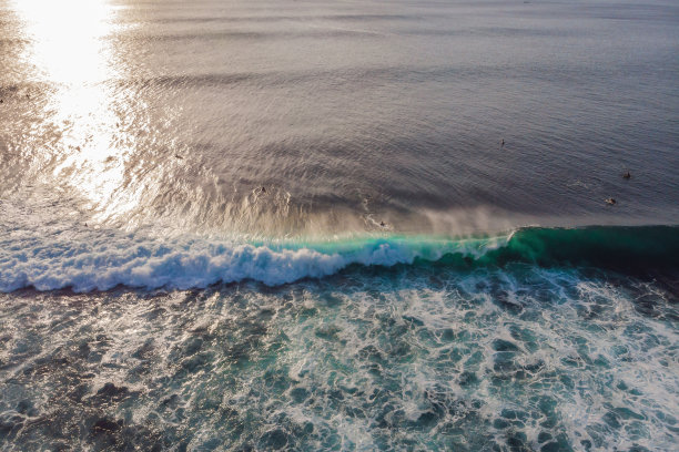 冲浪者在海浪中，俯视图图片下载