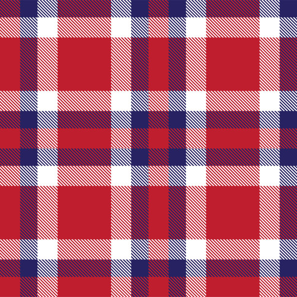 彩色经典现代格子呢无缝印花/图案向量图片下载