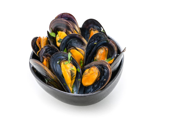 白色背景上孤立的蒸贻贝。本空间图片下载
