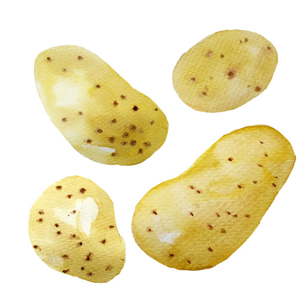 一套水彩手绘熟土豆。图片下载