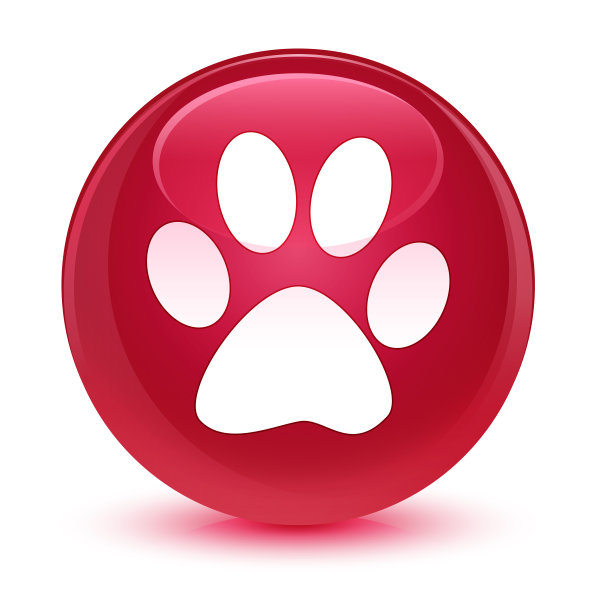 动物足迹图标玻璃粉色圆形按钮图片下载