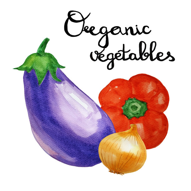 一套红辣椒，洋葱和鸡蛋与文字组织蔬菜的水彩。食物的例子。食谱,标签图片下载