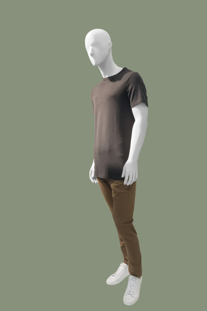 完整的男性人体模型。图片下载