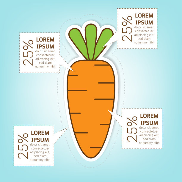 胡萝卜信息图模板概念与文本和百分比。图片下载