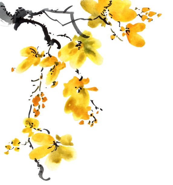 开花树枝图片下载