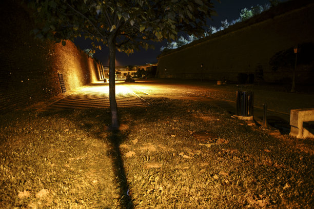 齐塔德尔·阿尔巴卡罗来纳州图片下载