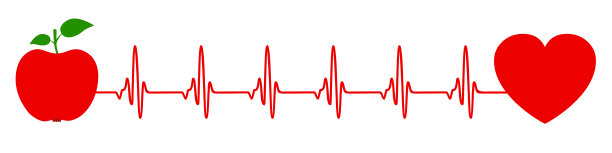 健康生活方式概念心脏病学与苹果和心脏股向量图片下载
