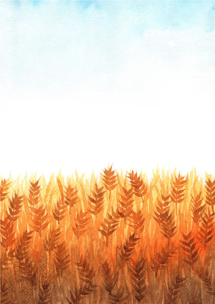 麦田水彩与明确的天空空间手绘背景。素材图片