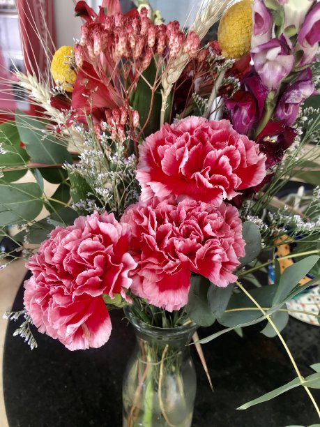 康乃馨插花图片下载