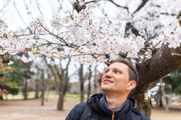 东京，日本代代木公园与快乐的年轻游客男子站在樱花的树冠下粉红色的樱花树的特写图片下载