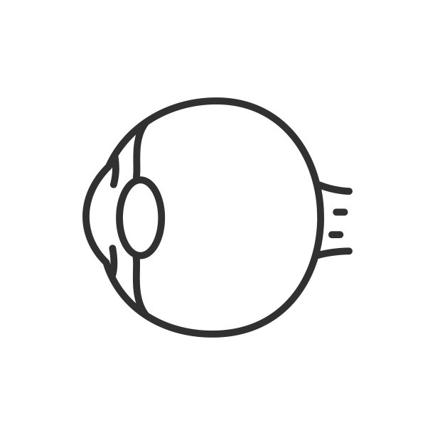 眼睛的结构。线条与可编辑的笔触图片下载