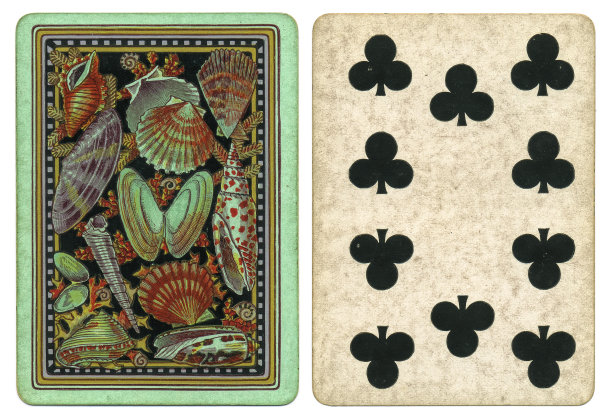 十九世纪维多利亚时期的扑克牌贝壳背面设计图片下载