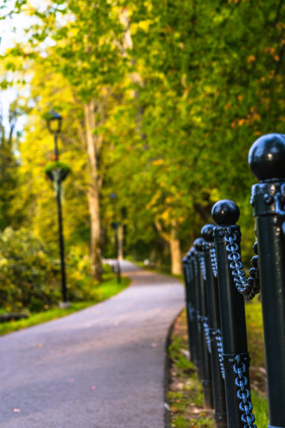 彩色照片的道路在一个公园，树林之间图片下载