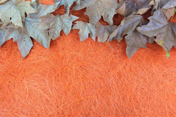 贺卡框架图片下载