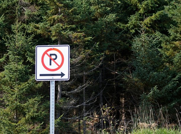 在森林背景下，不能在右侧停车图片下载