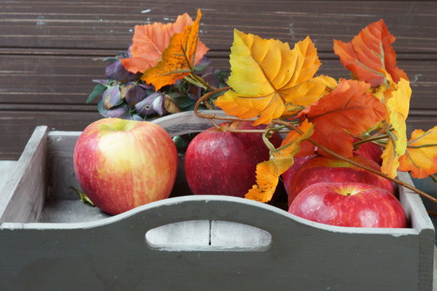红苹果装在托盘里，有秋天的装饰和树叶。图片下载