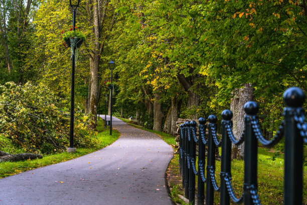 彩色照片的道路在一个公园，树林之间图片下载