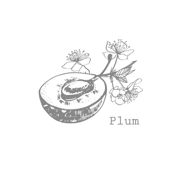 梅花手绘插图。墨水草图。手绘插图。无缝模式。健康的有机食品。农业市场产品。最适合包装设计。图片下载