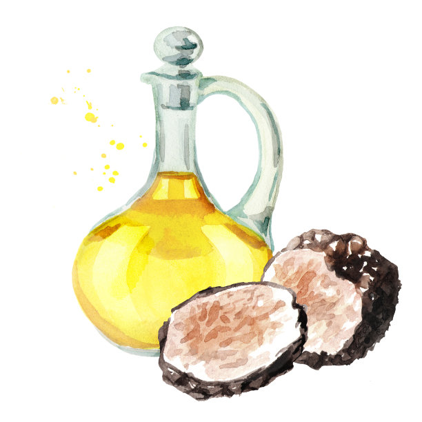 新鲜黑松露油，水彩手绘插图，孤立在白色背景图片下载