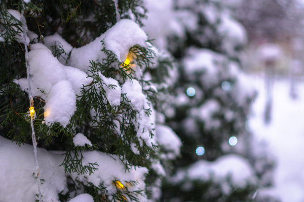 美丽的圣诞背景与花环和散景。新年彩绘。冬季城市街道的设计照片图片下载