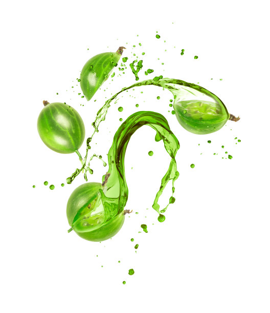 果汁从切好的醋栗上溅出来，放在白色的背景上图片下载