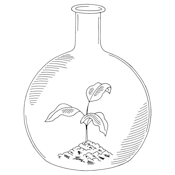 烧瓶发芽生态学图形黑白孤立的素描插图向量图片下载