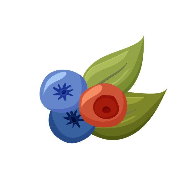 白色背景上绿叶的花园浆果。图片下载