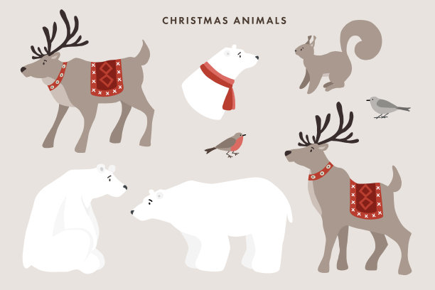 一组野生冬季动物。可爱的北极熊，驯鹿，松鼠和雀鸟。北欧圣诞贺卡设计。向量的卡通插图。孤立的自然图形对象。图片下载
