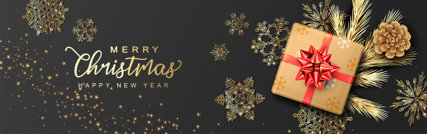 圣诞节和新年的横幅图片下载