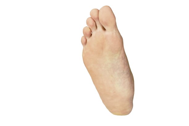 白色背景上的人类脚底图片下载