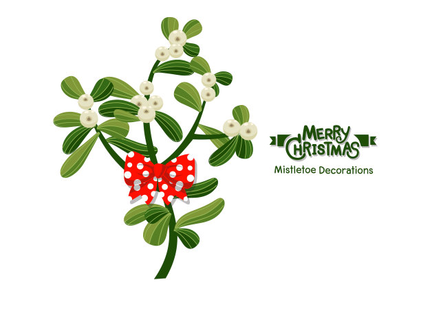 槲寄生的圣诞装饰。圣诞快乐，新年快乐。矢量图图片下载