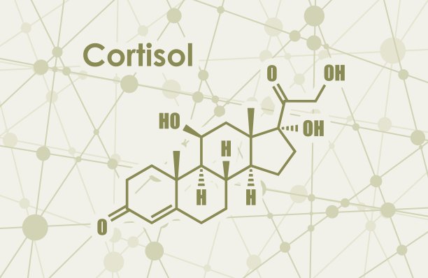 类固醇激素皮质醇图片下载