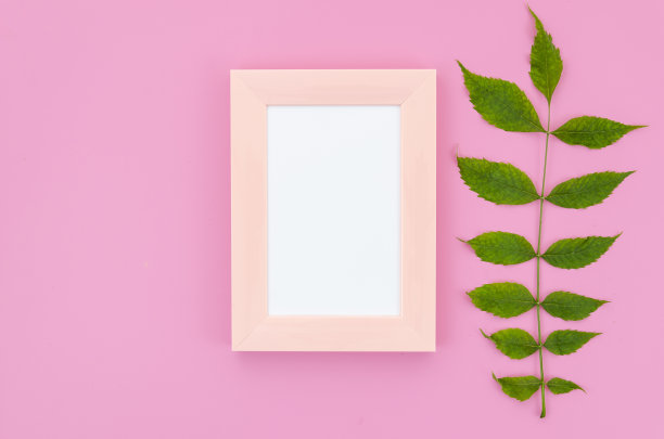 平躺模型的夏季相框和绿叶在粉红色的背景。顶部视图与复制空间图片下载