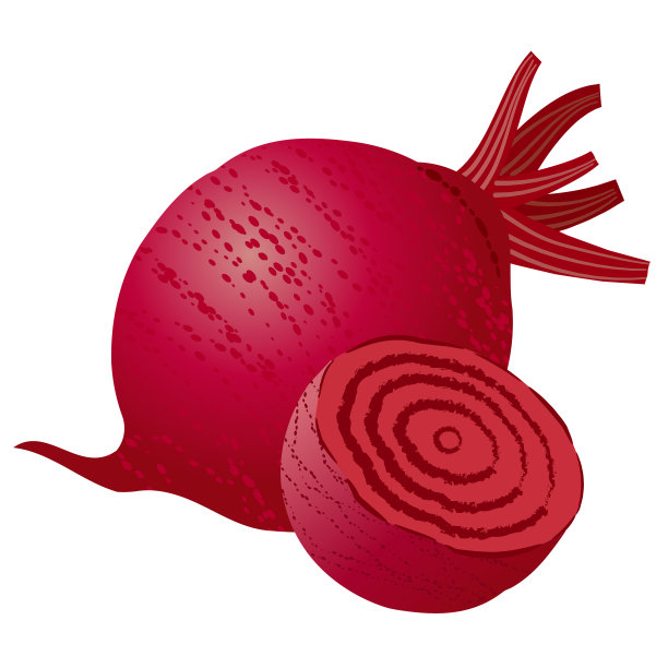 生的甜菜根图片下载