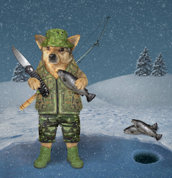 结冰的湖面上的捕狗者图片下载