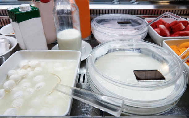 马苏里拉奶酪球碗新鲜自制酸奶和牛奶木桌图片下载