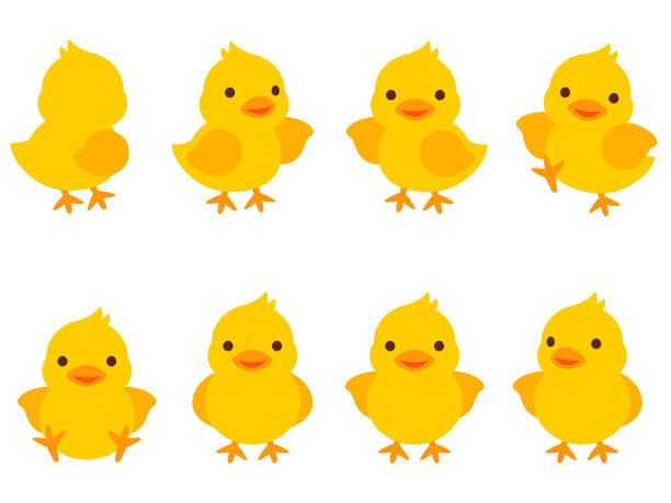插图设置的小鸡在各种姿势图片下载