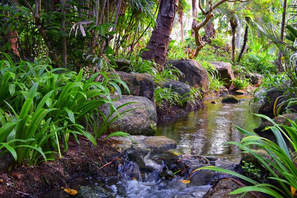 普吉岛接待花园区域的泰国度假胜地，库存照片没有人，曼谷附近。亚洲。图片下载