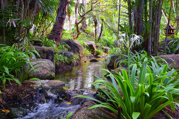 普吉岛接待花园区域的泰国度假胜地，库存照片没有人，曼谷附近。亚洲。图片下载