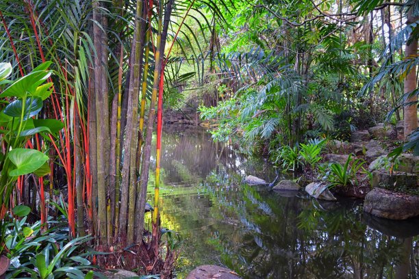 普吉岛接待花园区域的泰国度假胜地，库存照片没有人，曼谷附近。亚洲。图片下载