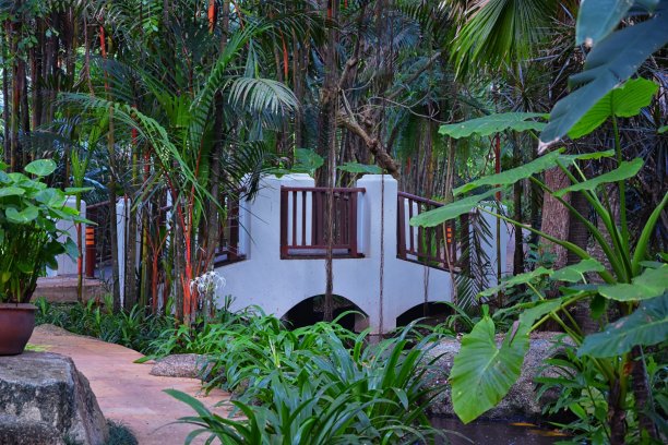 普吉岛接待花园区域的泰国度假胜地，库存照片没有人，曼谷附近。亚洲。图片下载