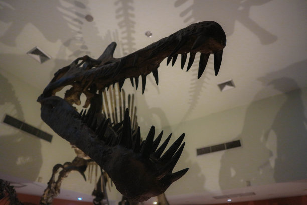 万圣节图片下载