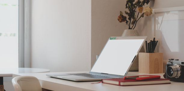 最小的工作空间，笔记本电脑，相机，办公用品和干玫瑰花瓶图片下载