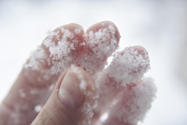 近距离观察人类手上融化的雪花图片下载