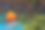 诡异的微笑万圣节杰克灯与令人毛骨悚然的花园背景图片下载