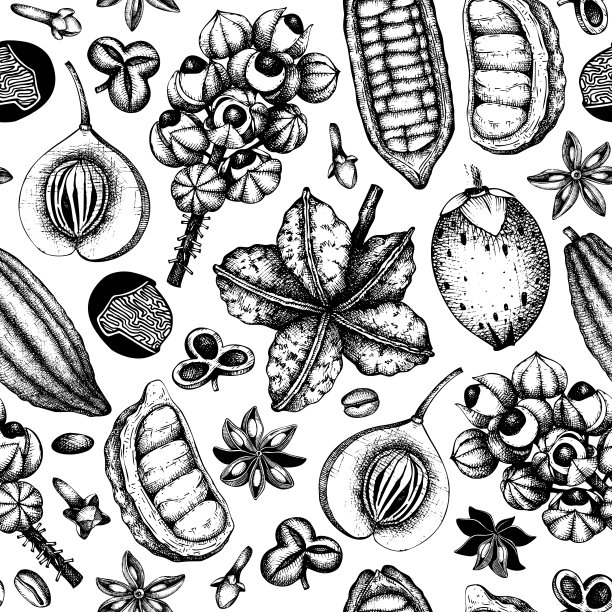 奇异的植物和水果图案图片下载